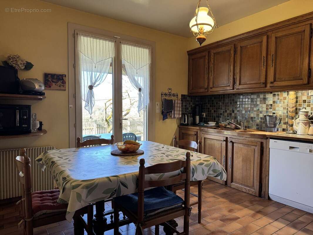 IMG2269 - Maison à SAINT-CYPRIEN