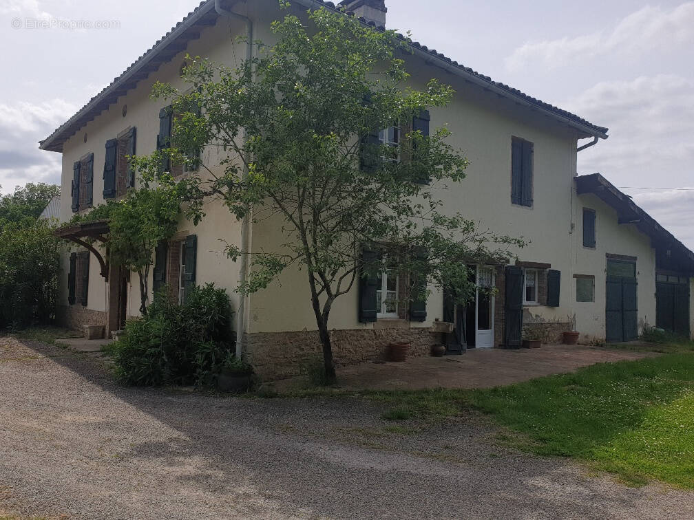 Maison à MONTRICOUX
