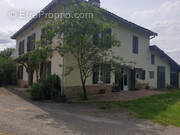 Maison à MONTRICOUX