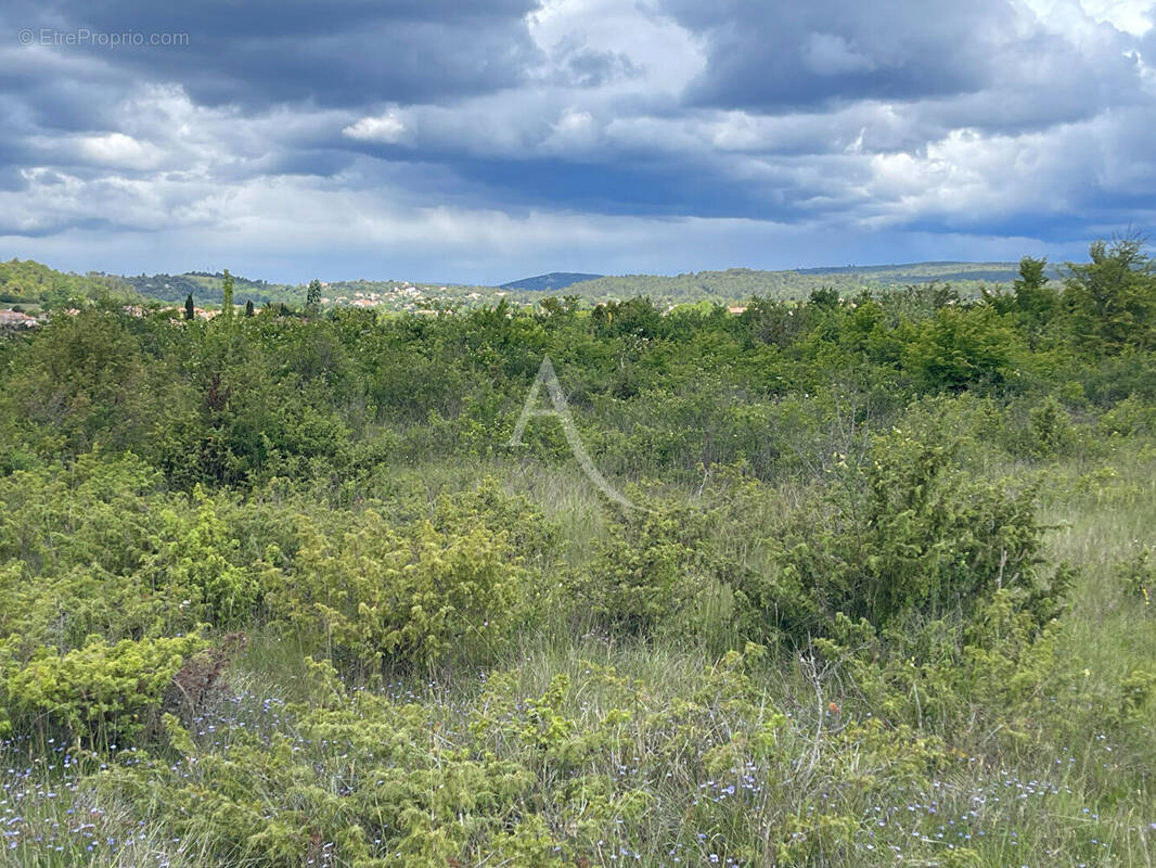 Terrain à SAINT-JULIEN