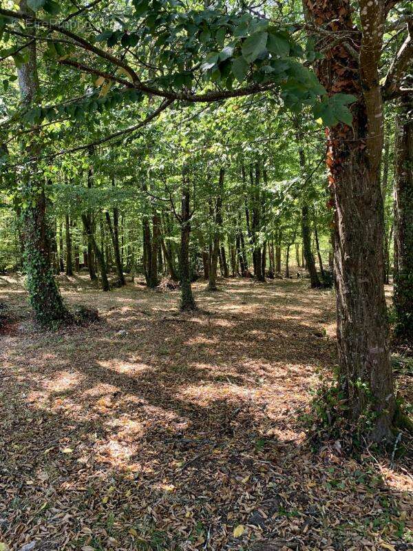 Et si votre prochain coup de cœur se trouvait ici ? Entre piscine, jacuzzi, espaces de réception et environnement boisé, cette p - photo 9