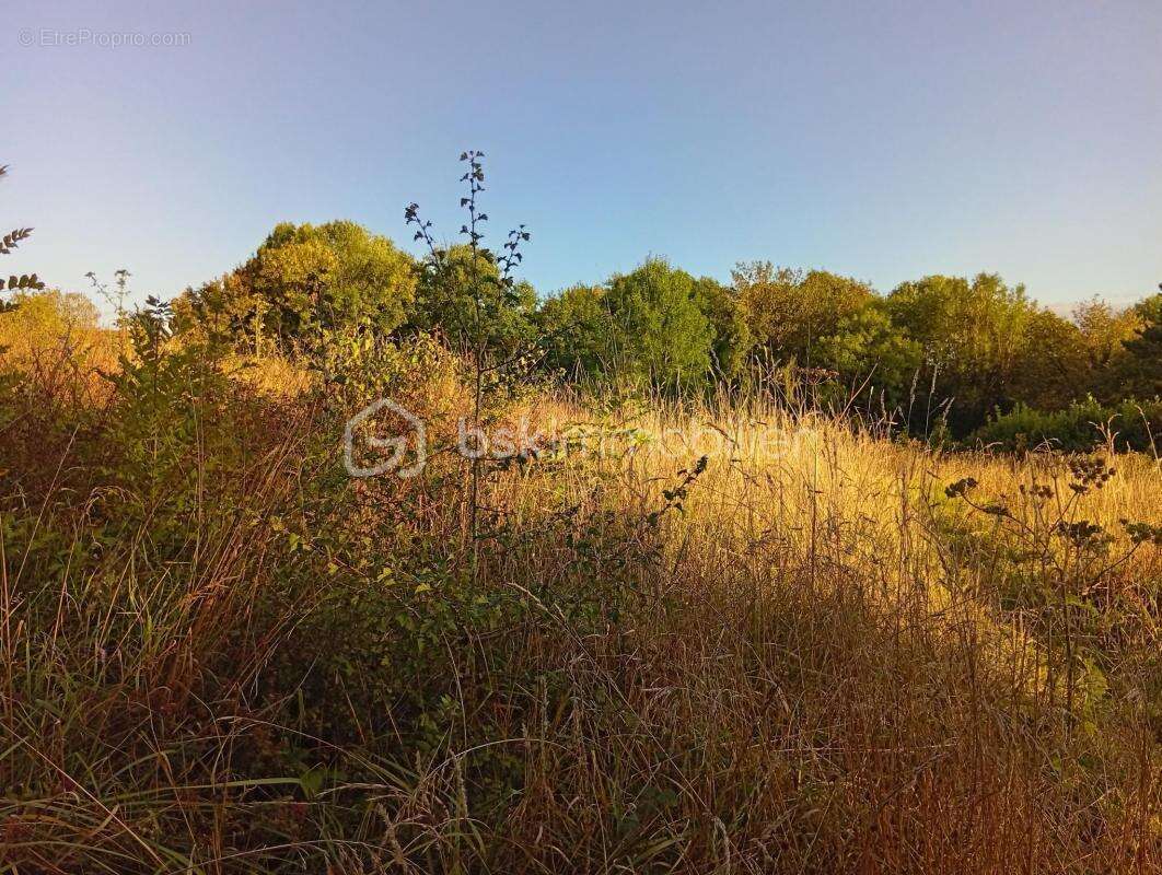 Terrain à SAINTE-GENEVIEVE