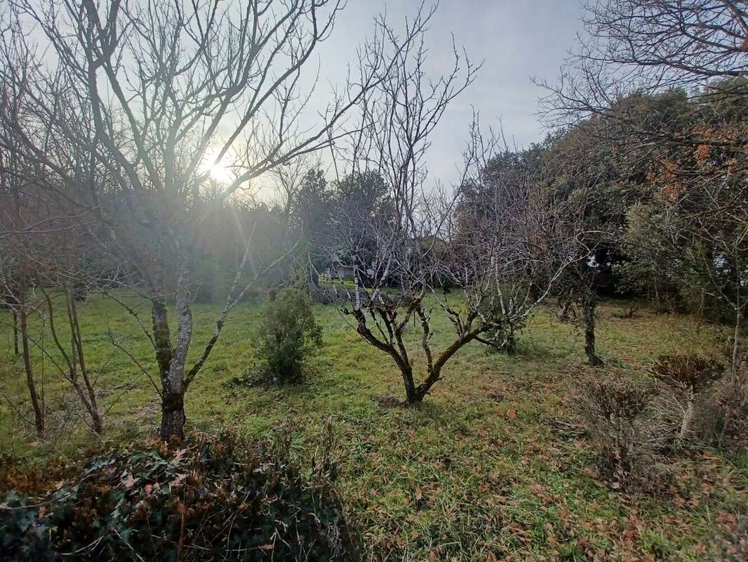 Terrain à VENES