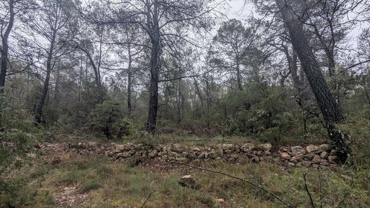 COTIGNAC - Rare à la vente 13.992m² boisés avec ruines de cabanon - photo 7