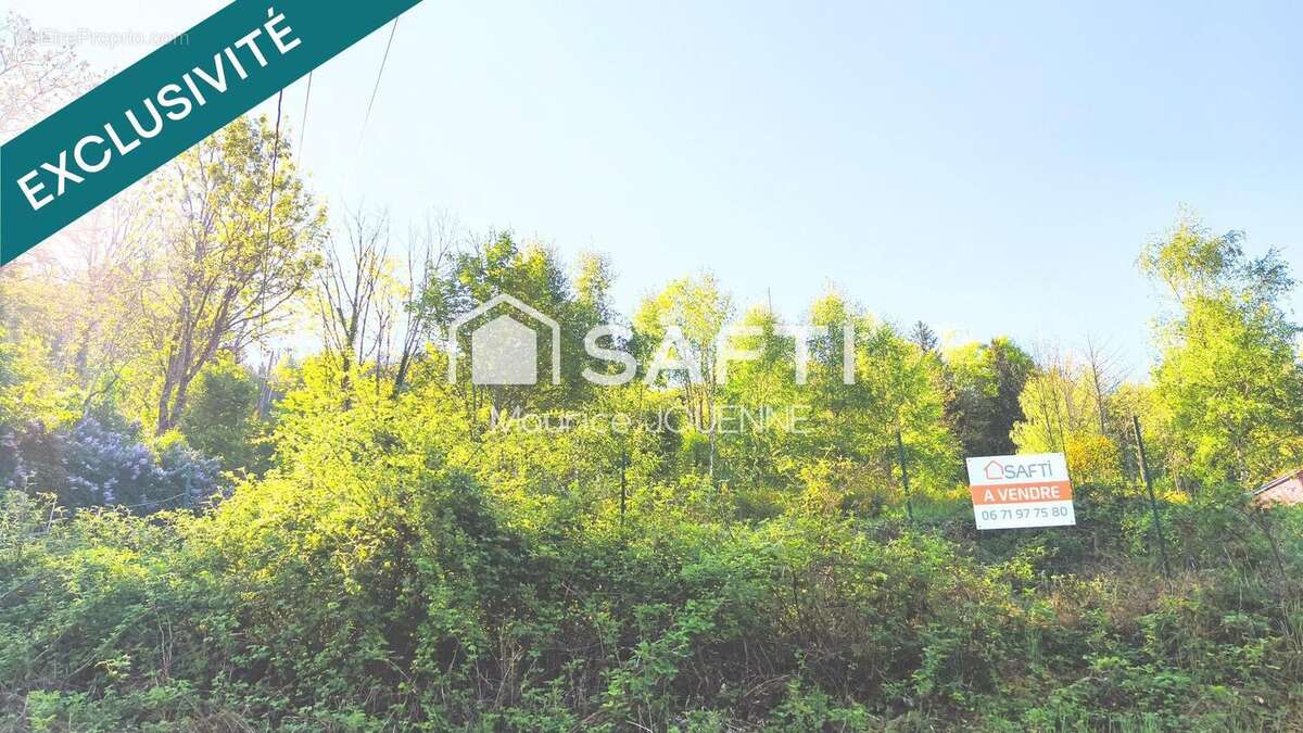 Photo 8 - Terrain à CORNIMONT