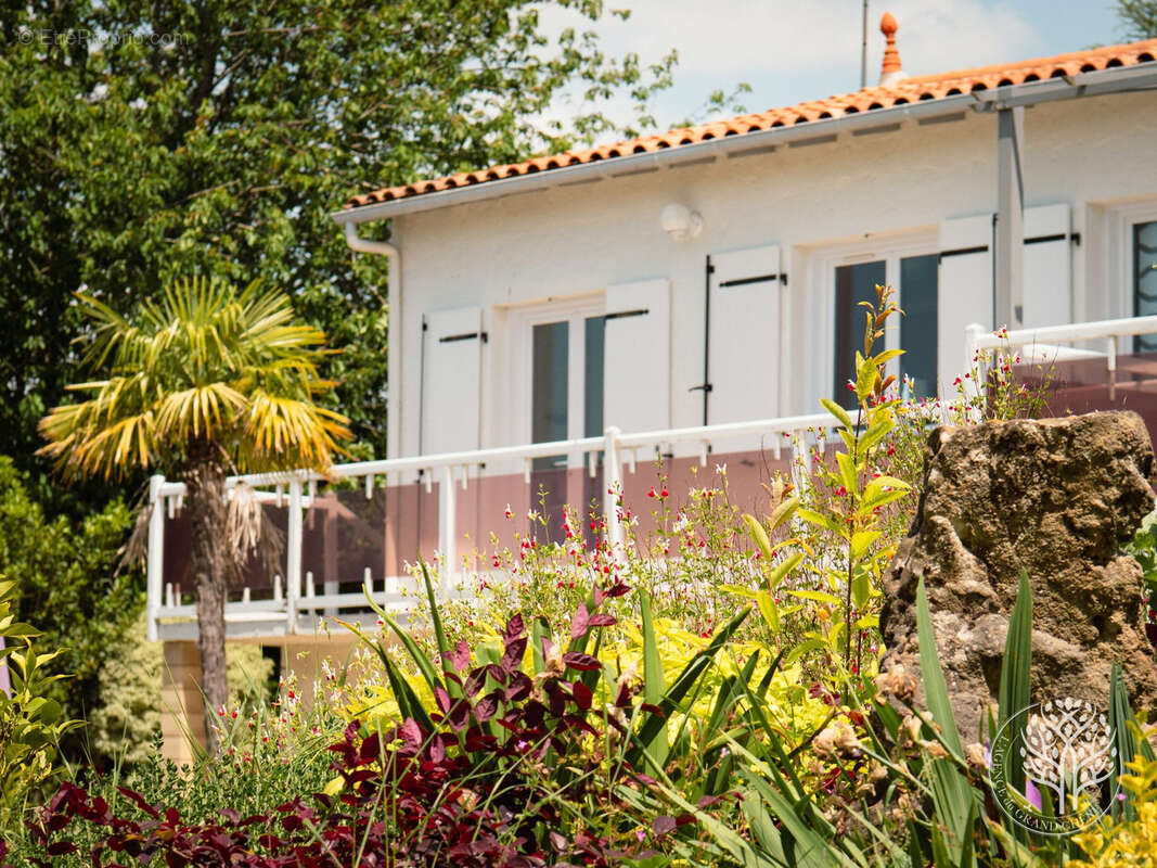 Maison à SAINT-SAVINIEN