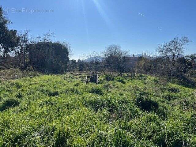 Terrain à CANNES