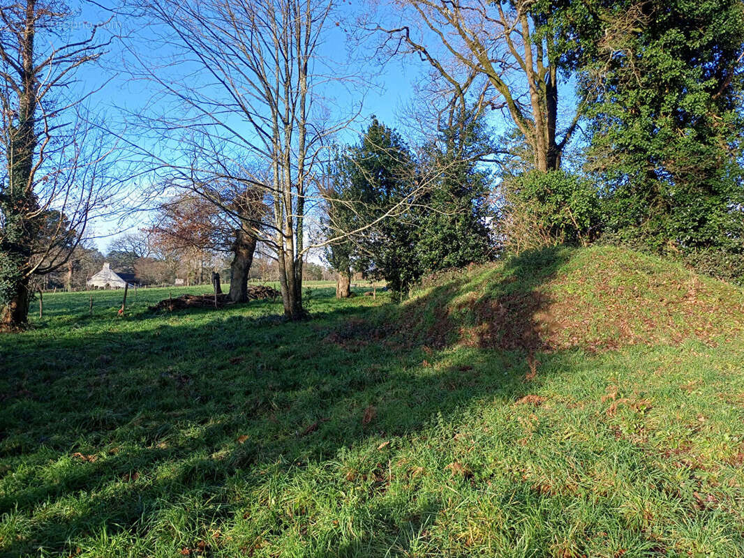 Terrain à BEGANNE