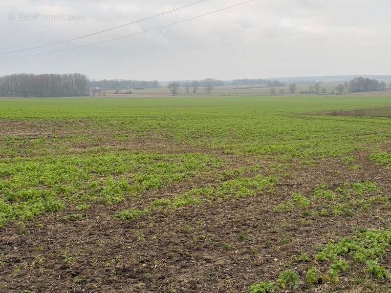 Terrain à GRISY-LES-PLATRES