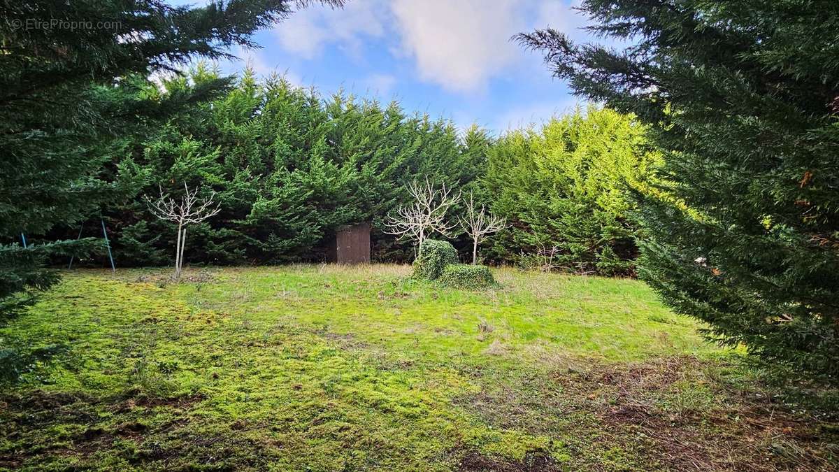 Photo 2 - Terrain à LA PLAINE-SUR-MER