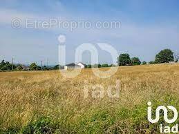 Photo 1 - Terrain à ROSNAY