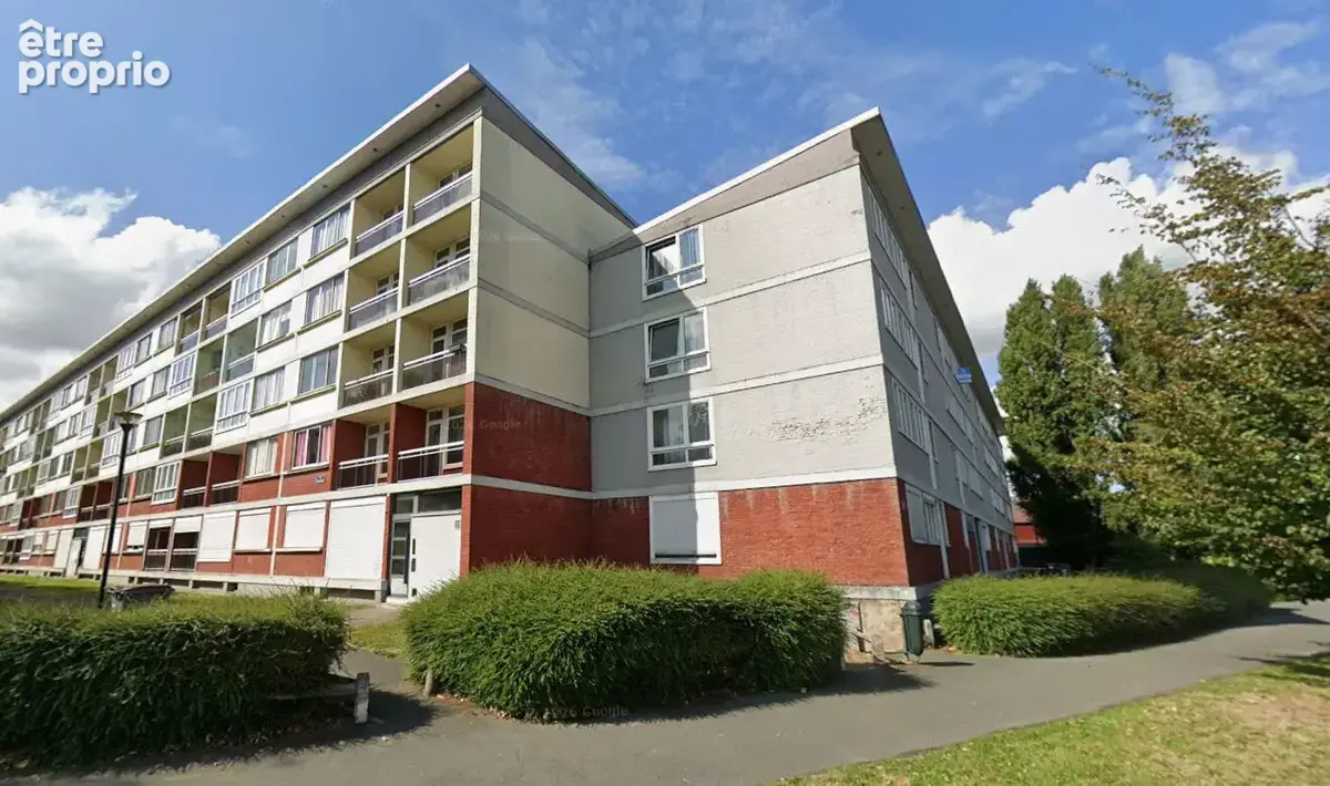 Tourcoing - sapin vert - photo 8