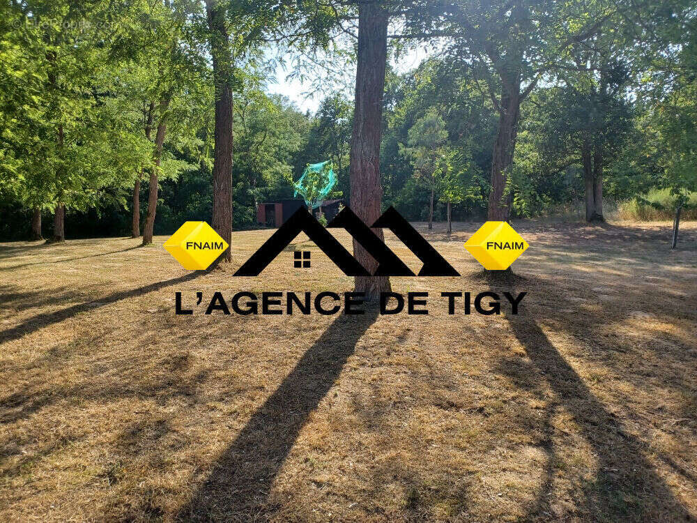 Propriete de charme avec piscine - photo 13
