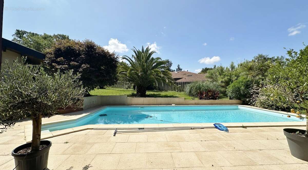 Villa d'architecte de type t7 de 188 m2 sur 2 hectares - photo 2