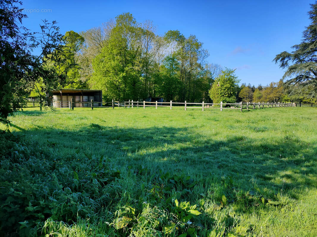 Propriété équestre avec 13 hectares - photo 32