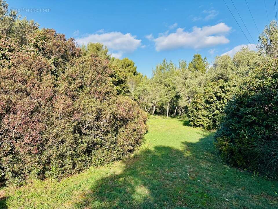 Terrain 500 m² à Ollioules  - photo 5