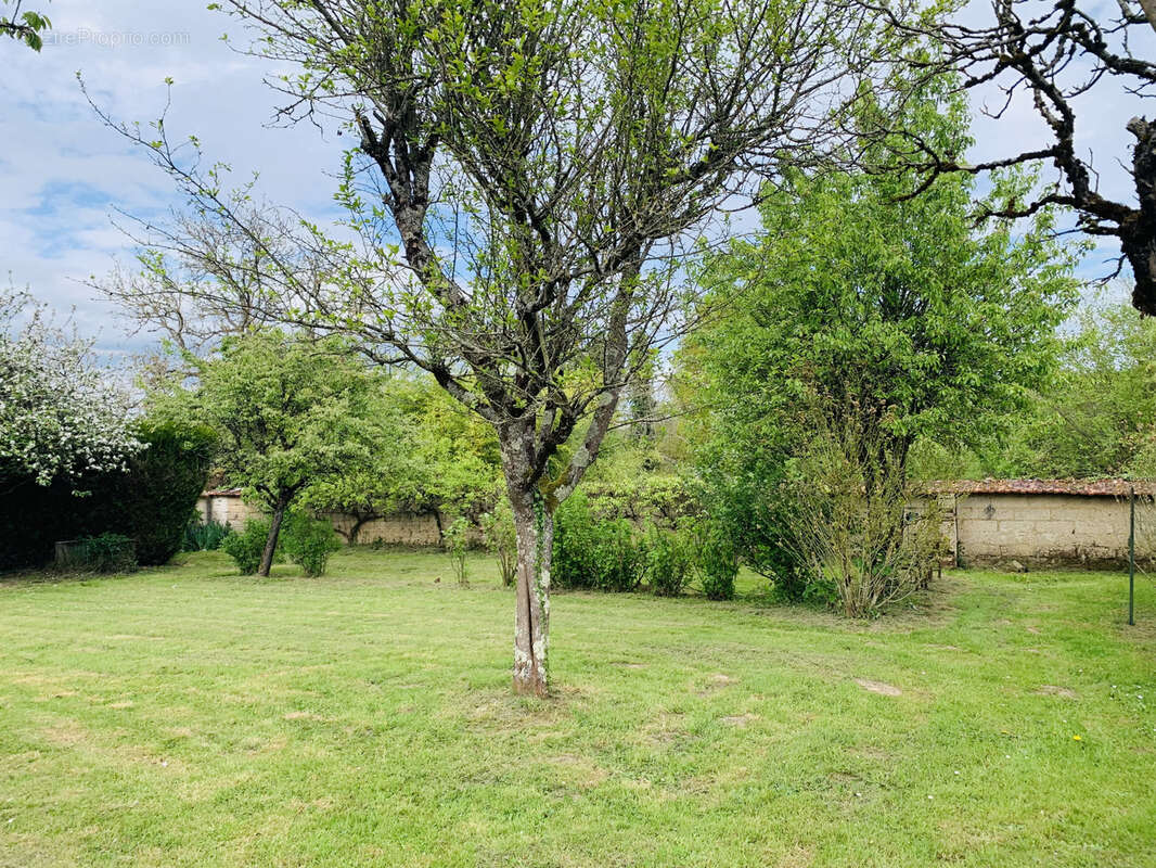 Maison à MONTACHER-VILLEGARDIN