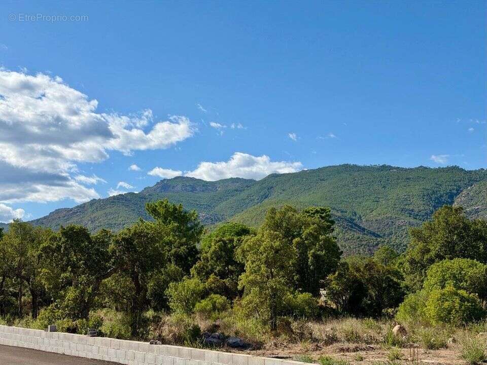 Maison à PORTO-VECCHIO