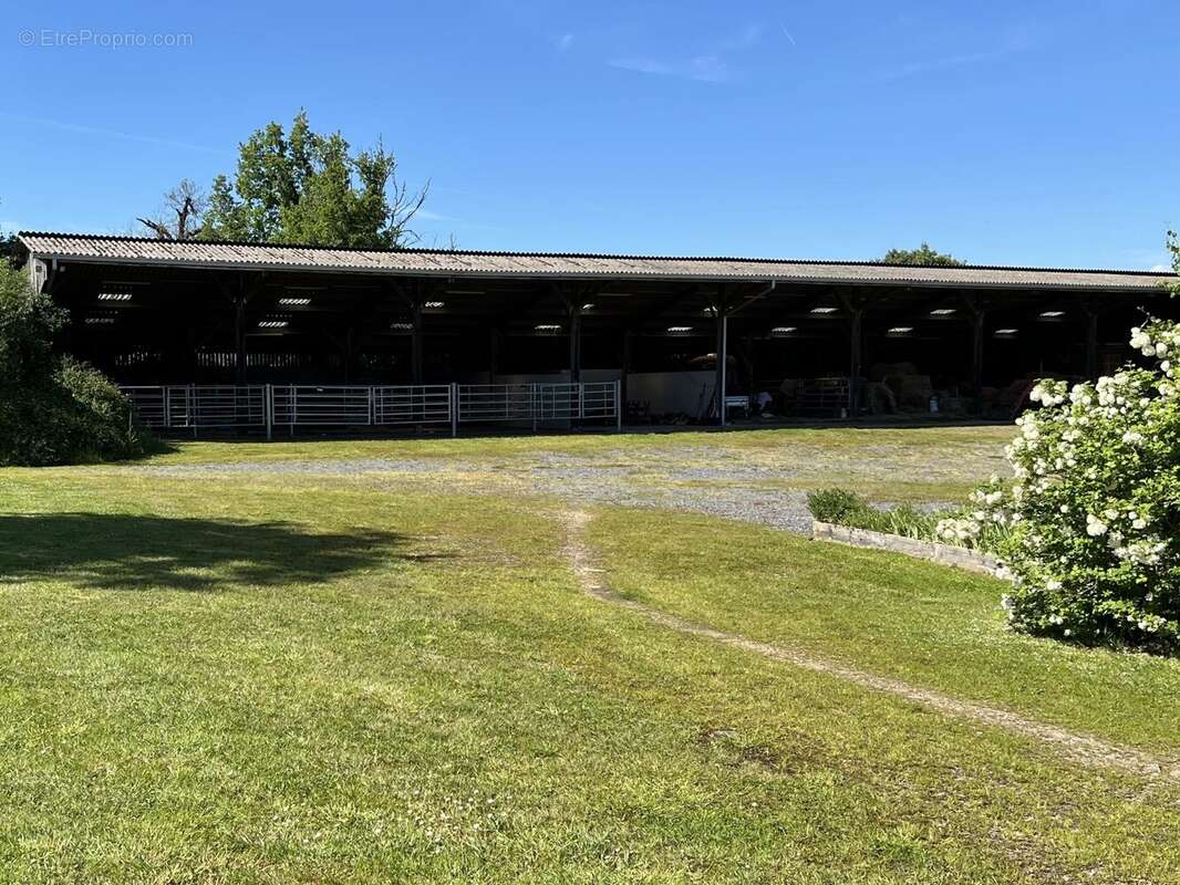 Ferme et domaine équestre avec 4 maisons et plus de 24 ha de terres et de pâturages - photo 15