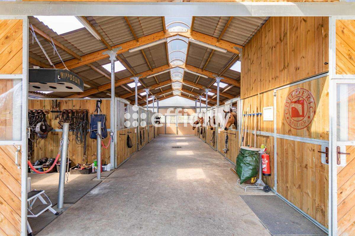 Commerce à SAINT-JEAN-DE-BOURNAY