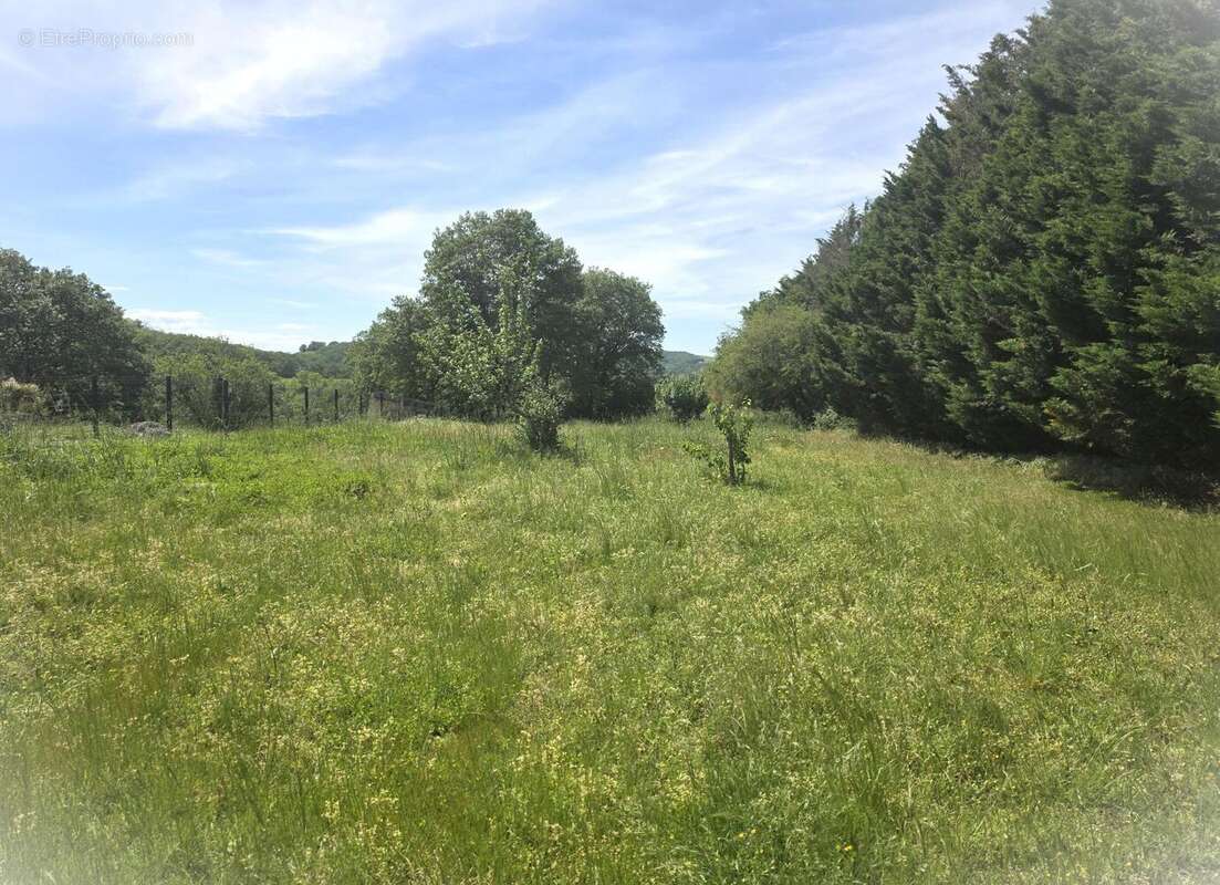 Terrain 1562 m² à Saverdun  - photo 2