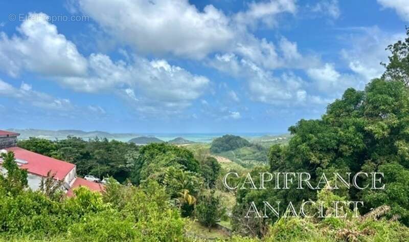 Terrain à LA TRINITE