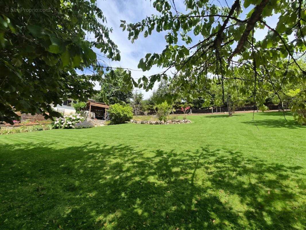 Maison Vollore Montagne 11 pièces +/-180 m2 avec 5400m2 environ de jardin - photo 3
