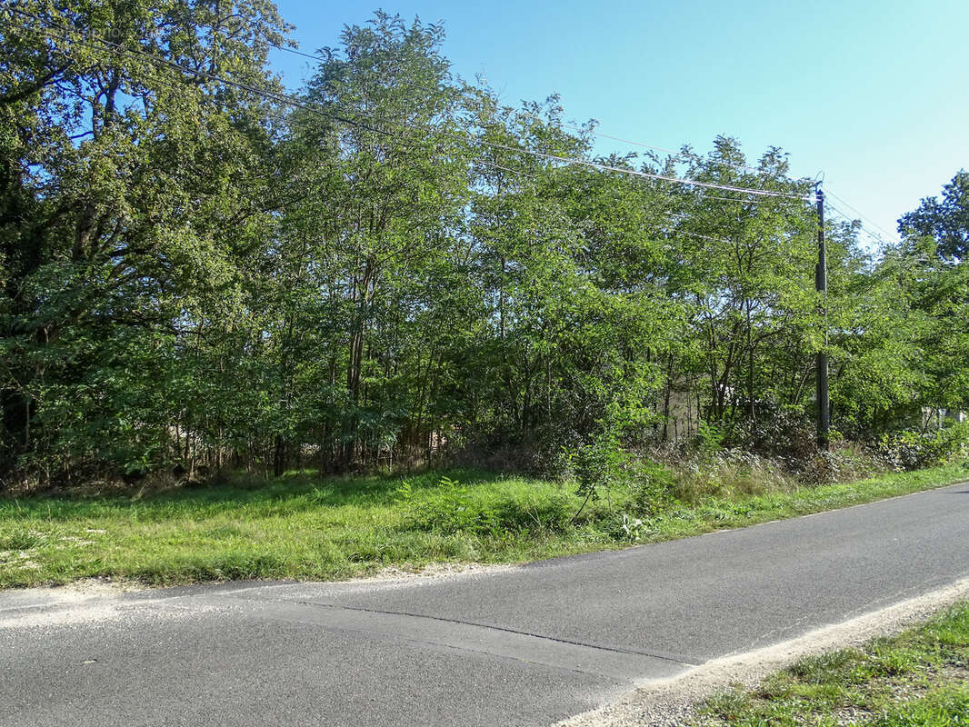 Terrain à SAINT-JULIEN-SUR-CHER