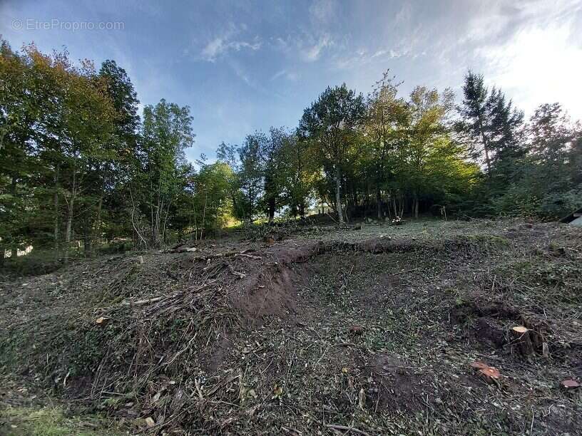 Terrain à BLIENSCHWILLER