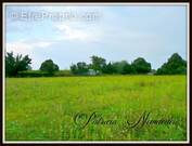 Terrain à SEVIGNACQ