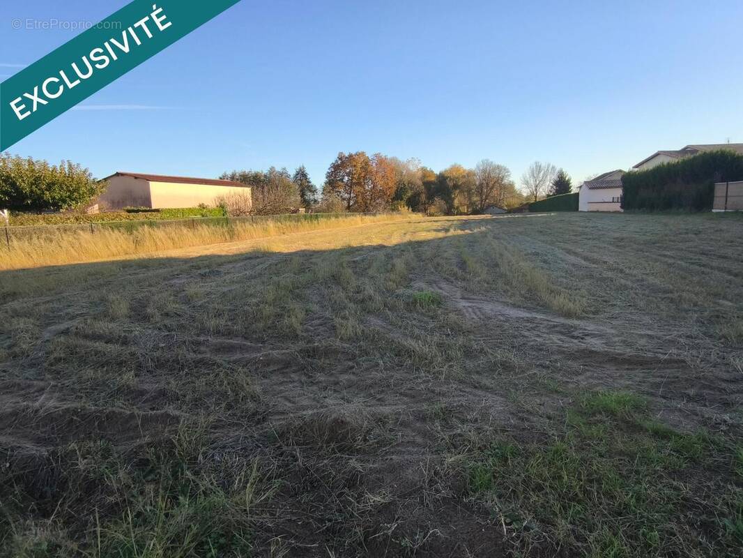 Photo 1 - Terrain à MANZIAT