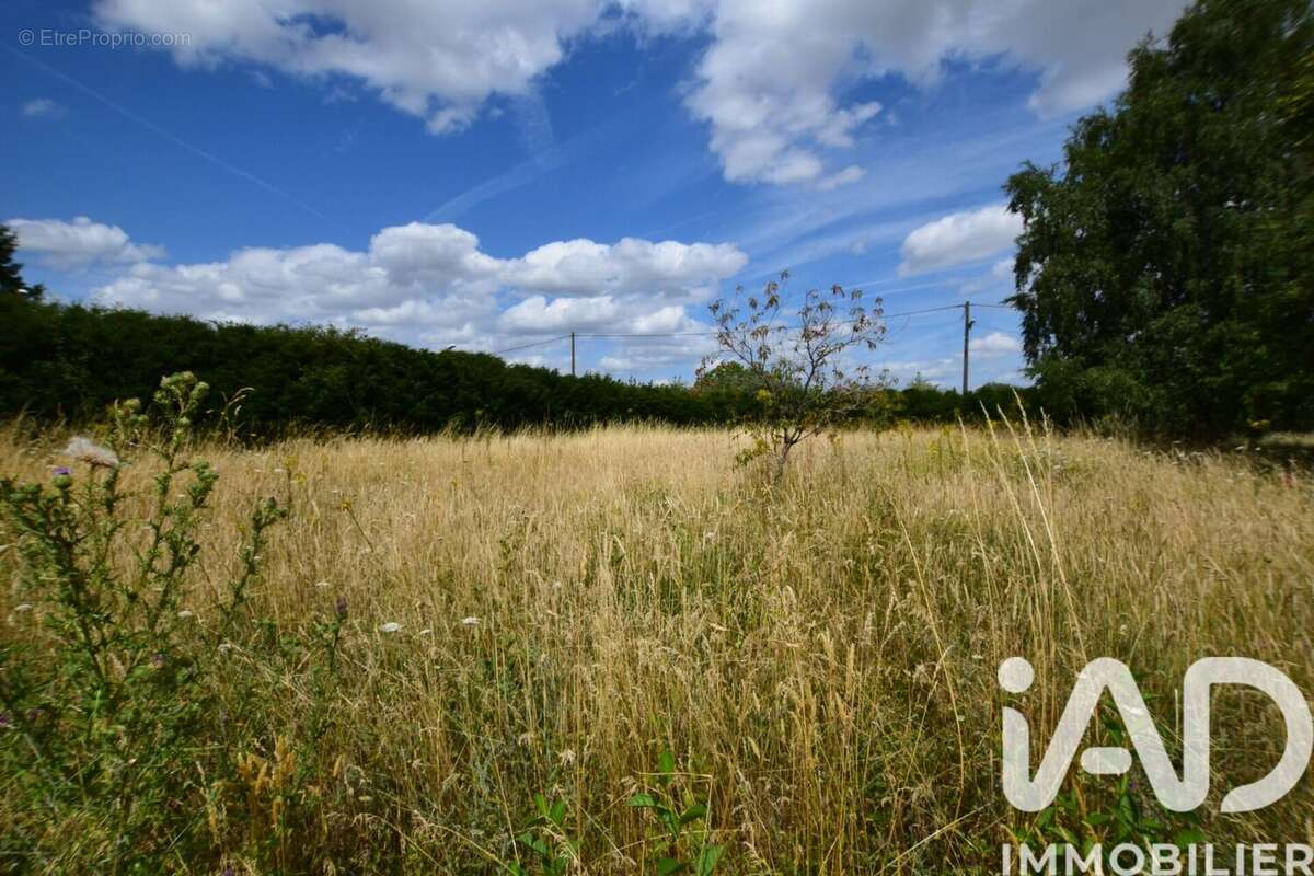 Photo 2 - Terrain à SAINT-BRANCHS