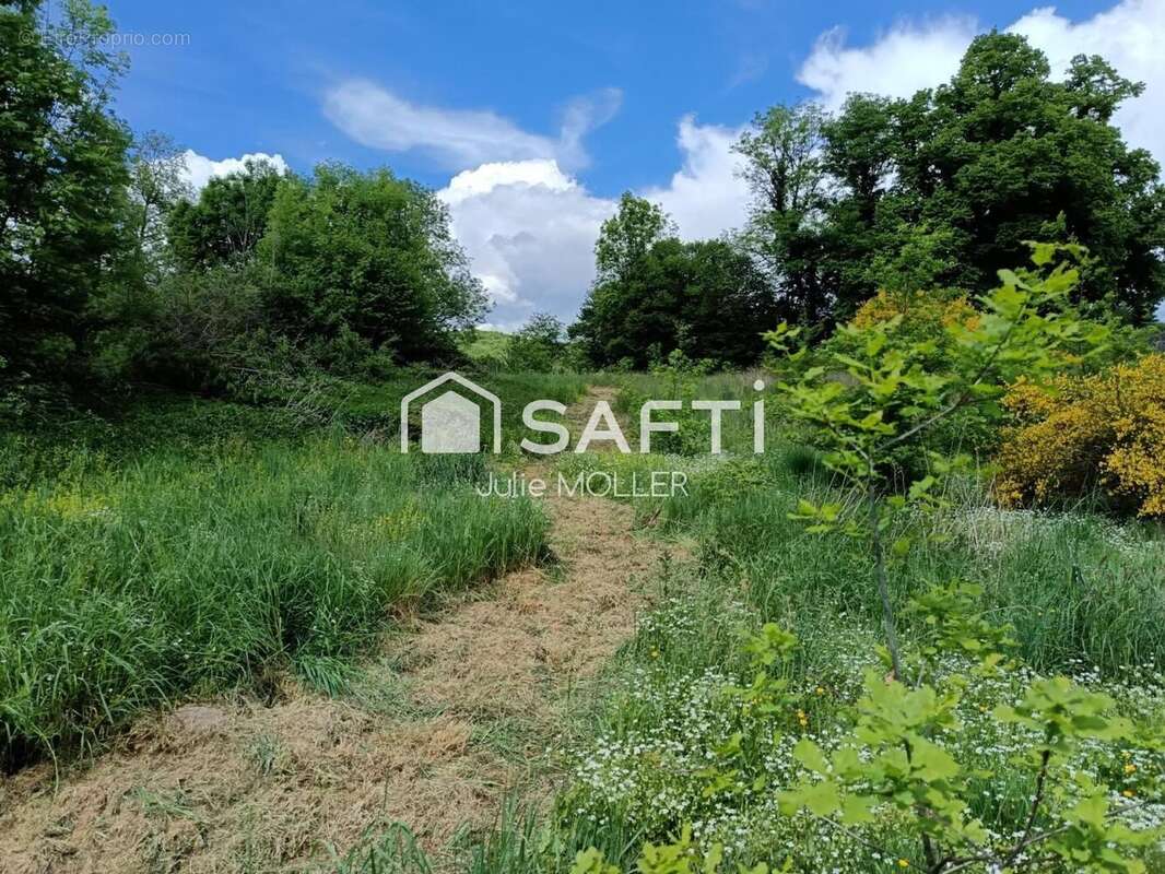 Photo 9 - Maison à BUSSIERE-DUNOISE