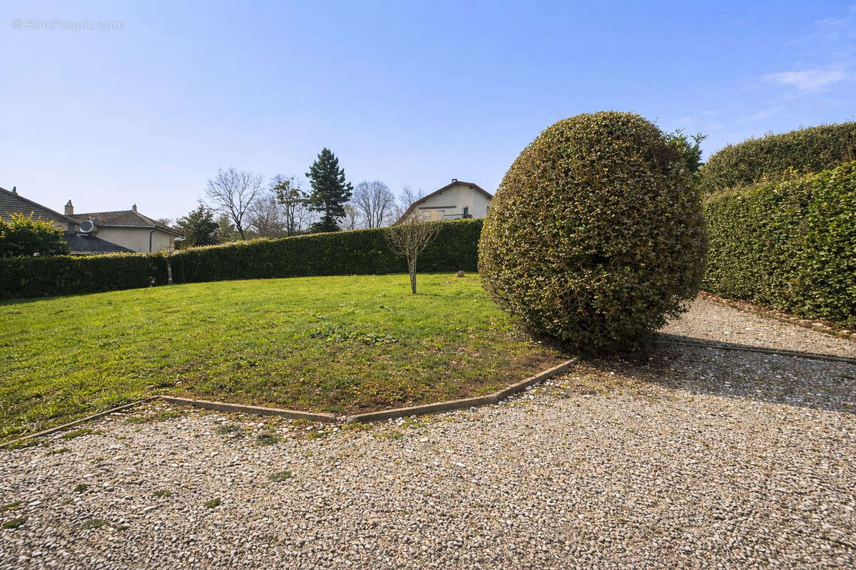 Terrain à SAINT-JEAN-DE-MOIRANS