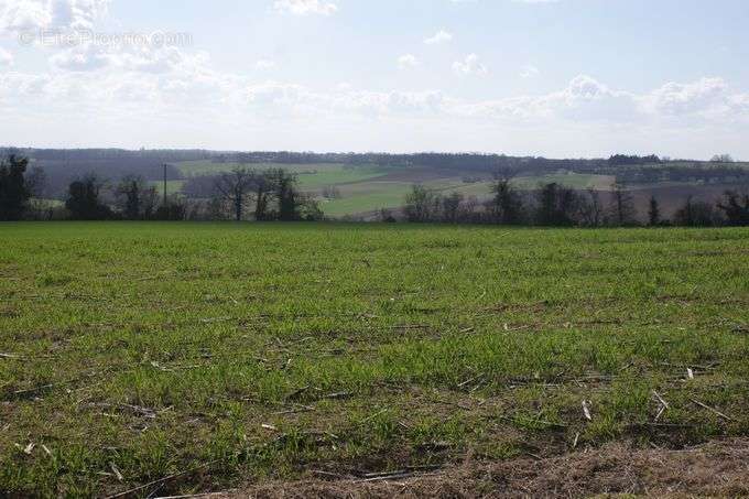 Terrain à TOURNECOUPE