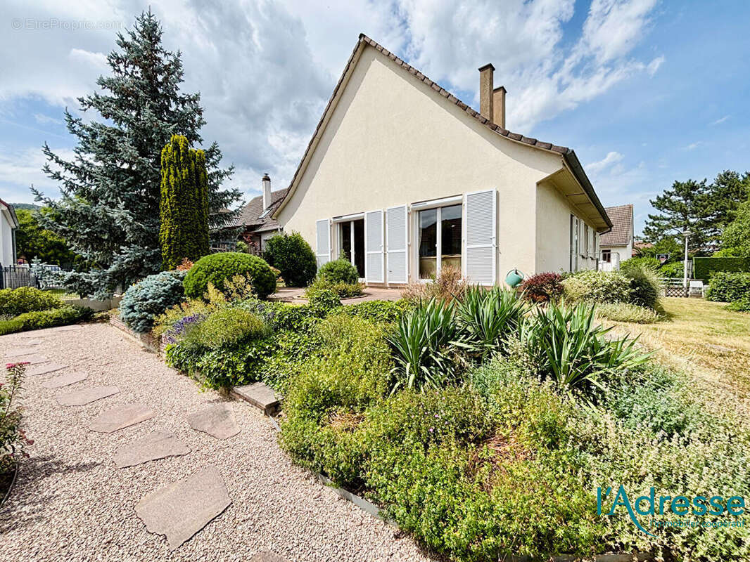 Maison à WINTZENHEIM