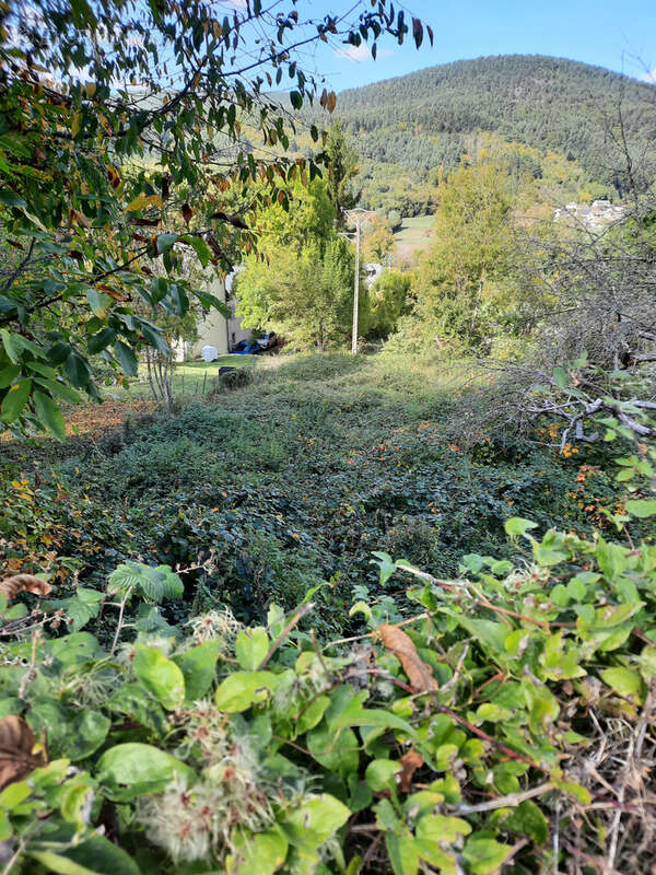 Terrain à SAINT-JEAN-DU-BRUEL