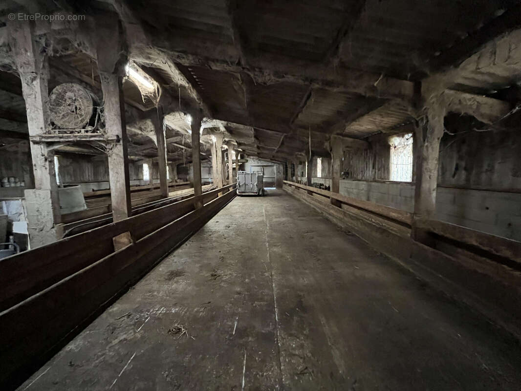 Terrain à CLERMONT-L&#039;HERAULT