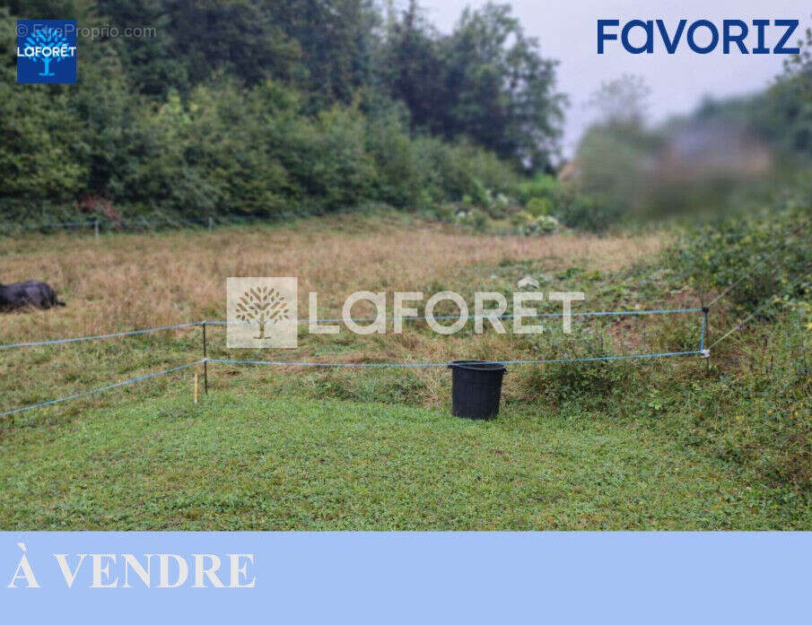 Terrain à ETUEFFONT