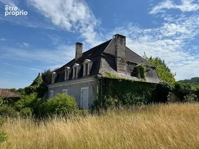 Maison 375 m² à Palluaud  - photo 2