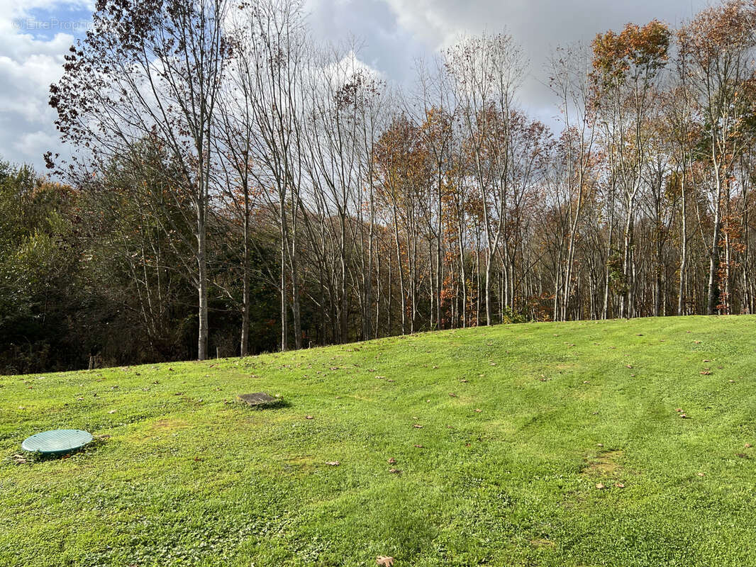 Maison à L'ISLE-EN-DODON