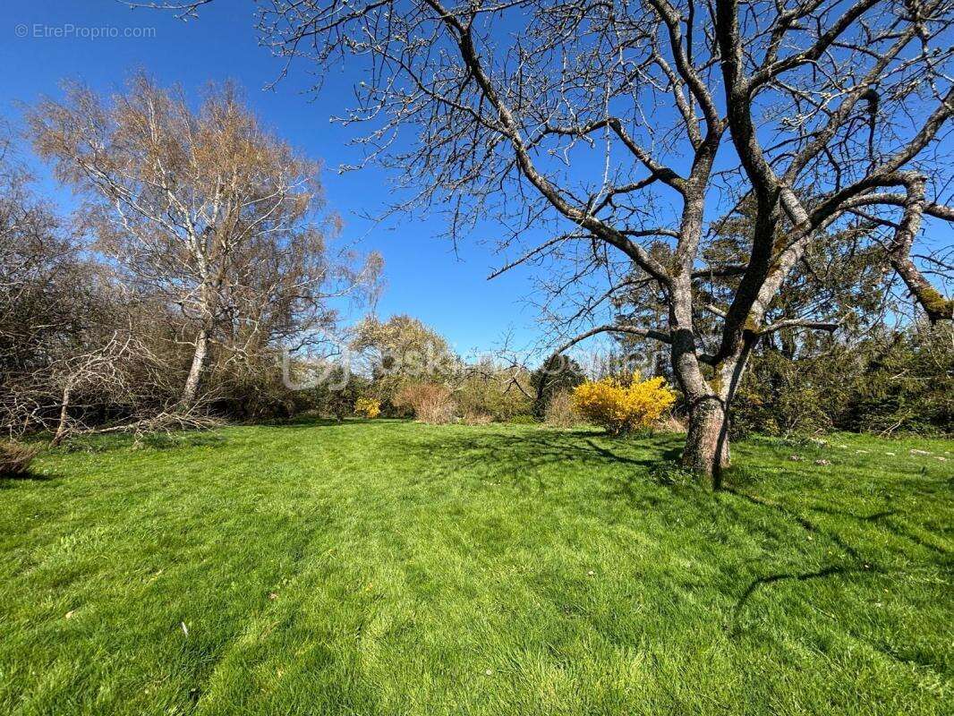 Maison à SAINT-CREPIN-IBOUVILLERS