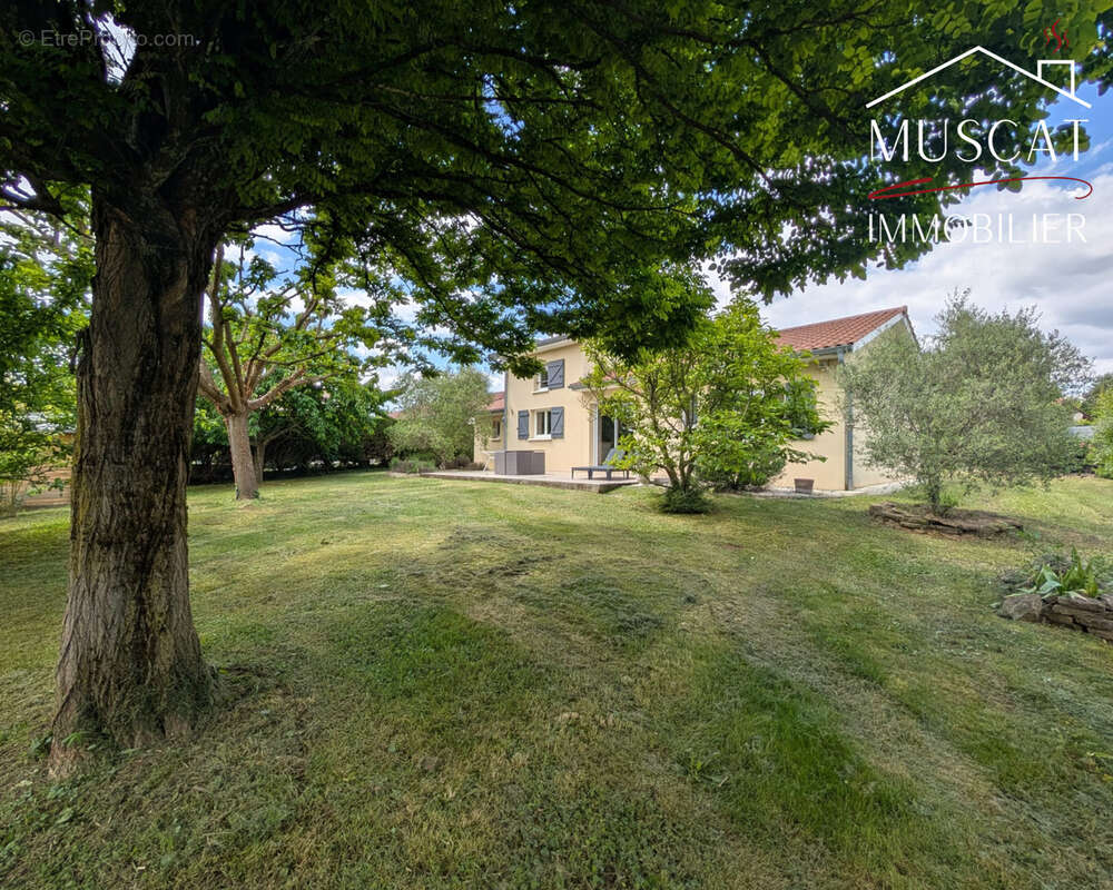 Maison à VILLEFONTAINE