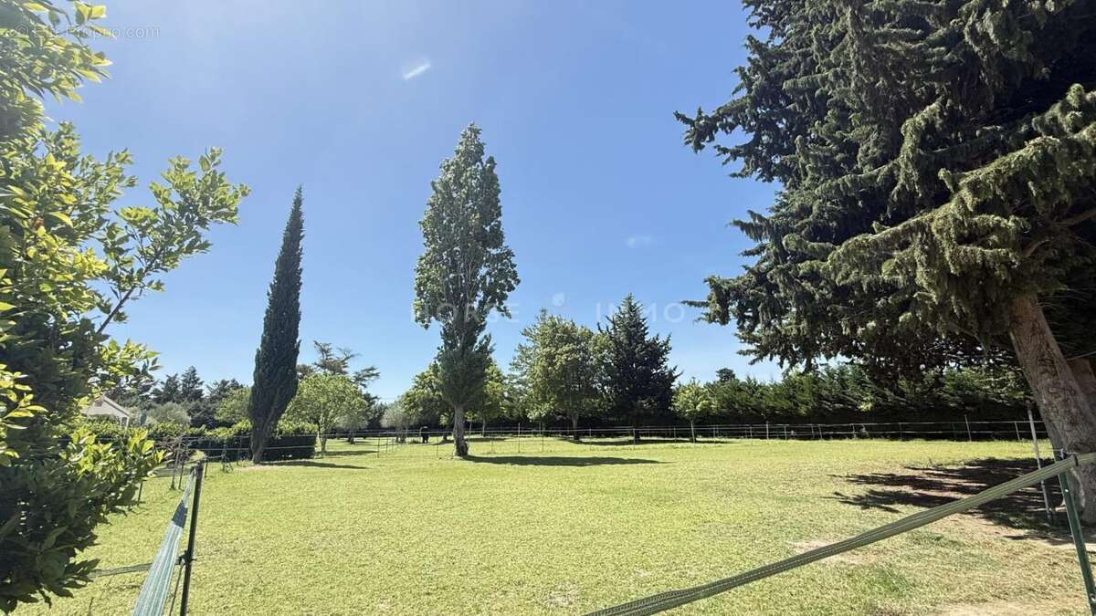 Propriété équestre de charme en campagne de Beaucaire - photo 10
