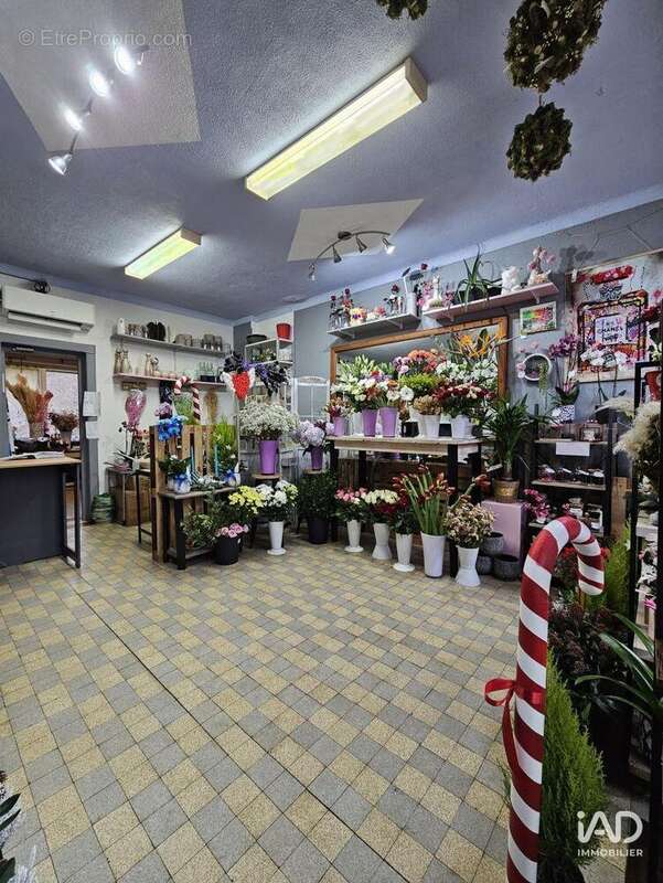 Photo 3 - Commerce à REHON