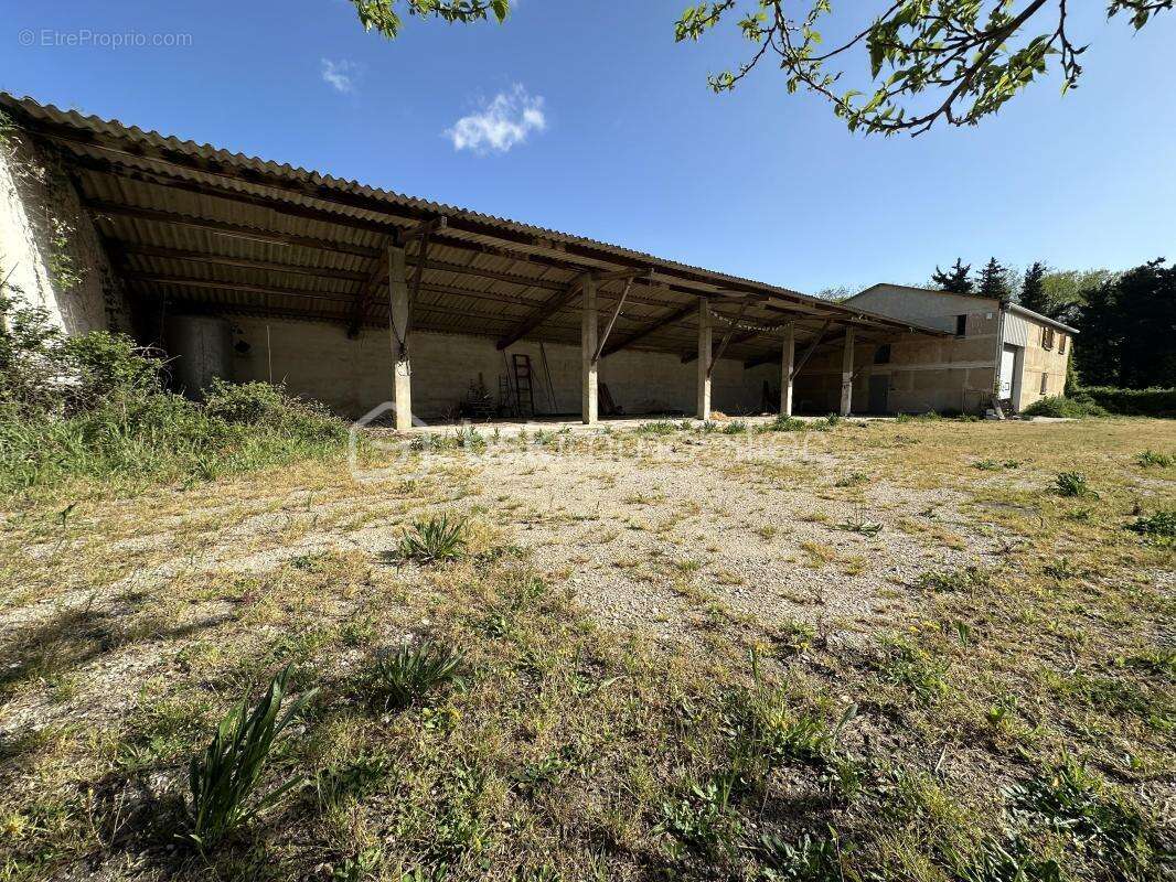 Appartement à MONTFRIN