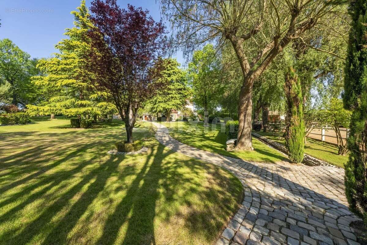 Maison à VILLEFRANCHE-SUR-SAONE