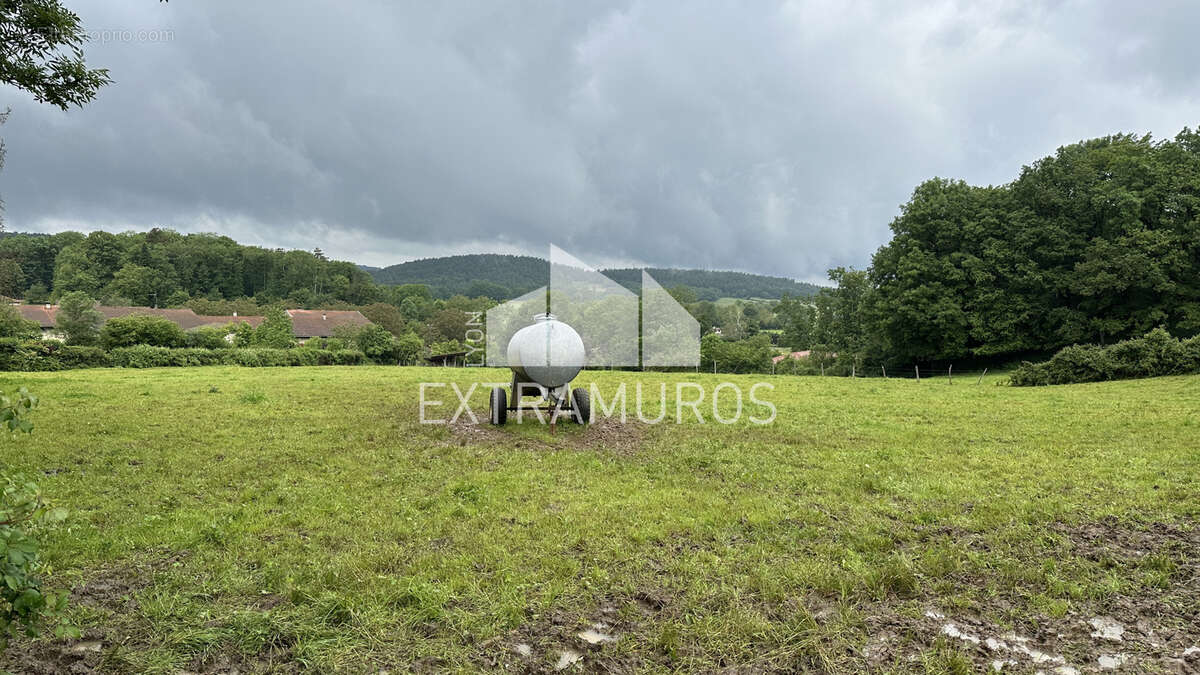 A vendre en exclusivite au coeur du village de challes la montagne grand terrain constructible de 6188 m2 - photo 2