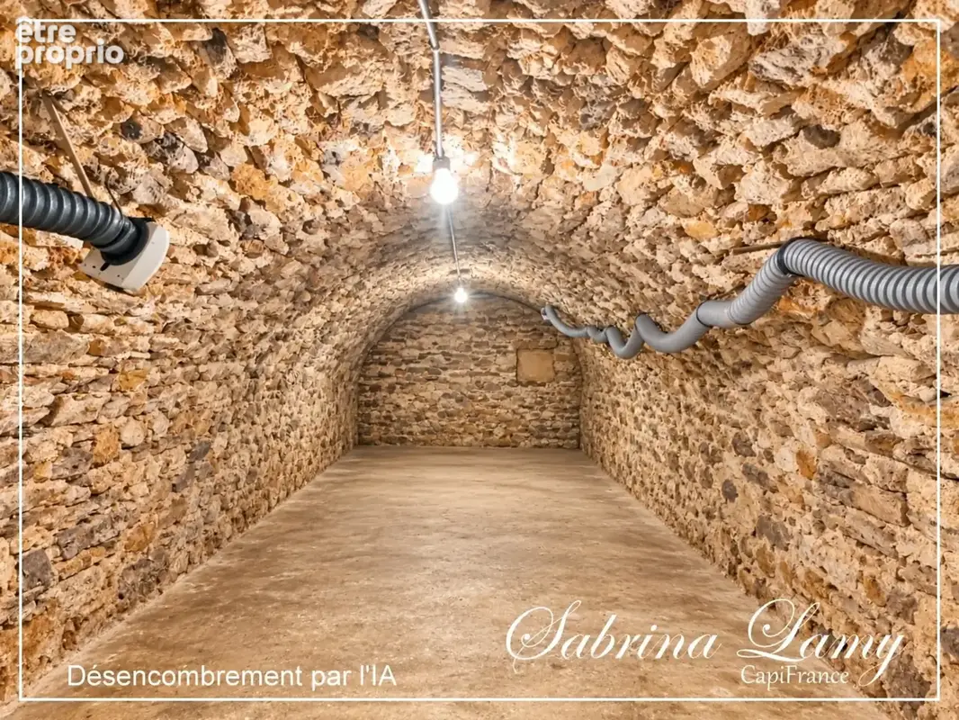 Maison à vendre 5 pièces GRAUVES (51) - 3 chambres - Cave Voutée - Style longère - photo 24