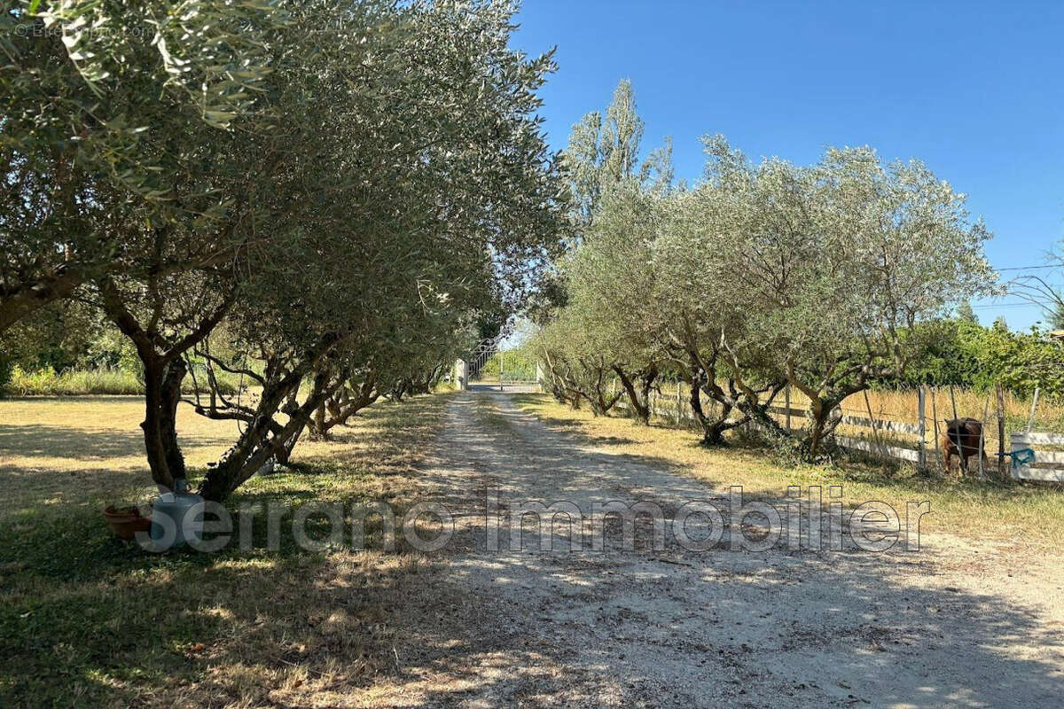 Maison 293 m² à Beaucaire  - photo 9